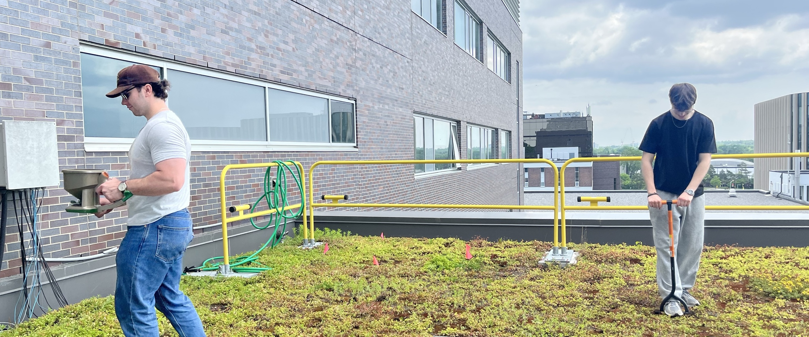 Bren and Tristan fertilizing and aerating the green roof.
