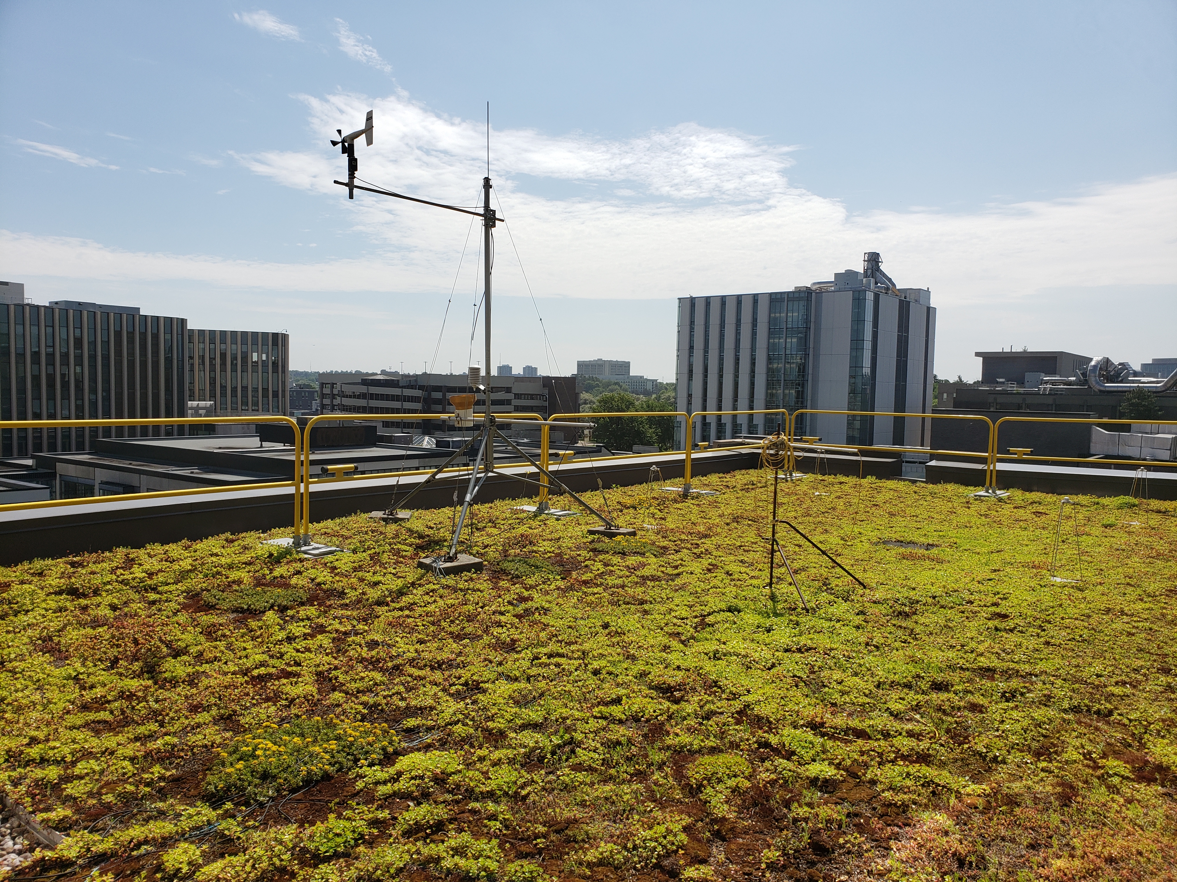 A sedum-covered green roof, enclosed by a yellow guardrail and surrounded by the Carleton University campus.