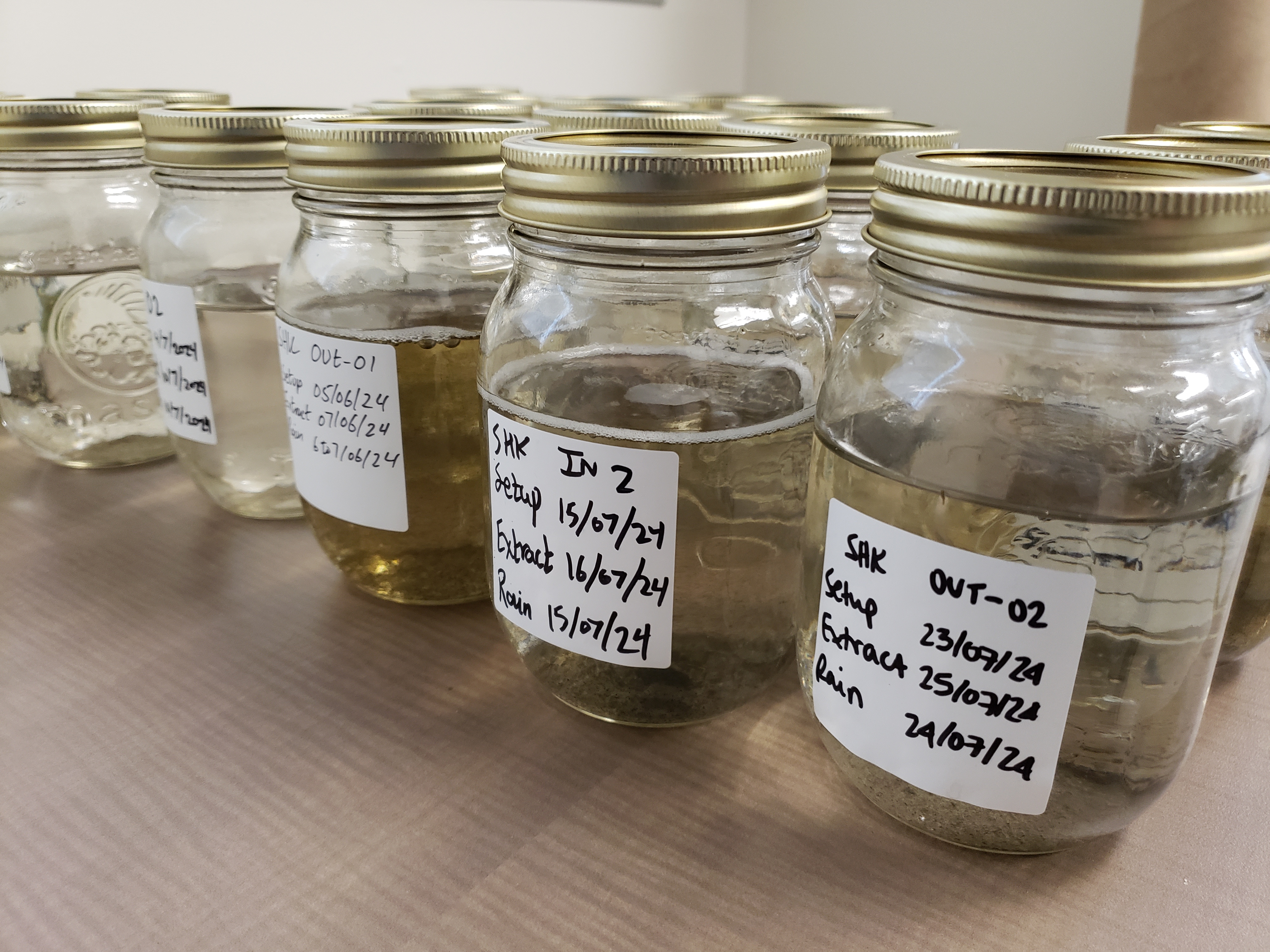 Dozens of mason jars with water samples of different opacities and colors; each one is labelled with a date and other identifying information.